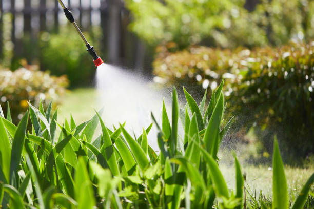 24/7 Emergency Termite Control experts in Clemson, SC